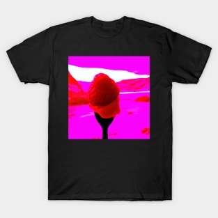 Sweet Raspberry T-Shirt